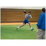 Indoor Turf Mat, 5'x50'