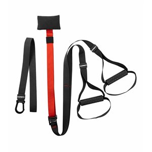 Système d'entraînement en suspension