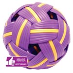 Beginner Takraw Ball
